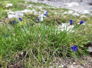 38. pohod na Triglav